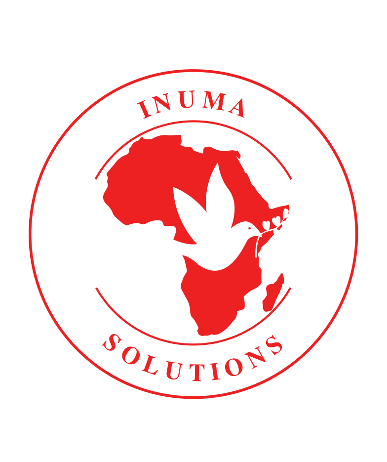 INUMA Solutions Ltd logo